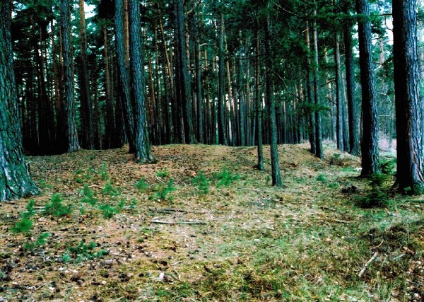 Les Vrubice: Archeologický poklad ukrytý v zemi