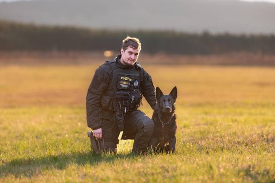 Ztraceného houbaře (99) našel psovod